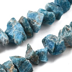 Природного апатита нитей бисера G-I283-F23