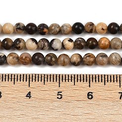 Природные зебры яшмы бисер нитей G-F792-C13-07