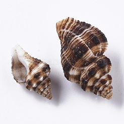 Натуральные спиральные бусы из ракушек SSHEL-S258-87