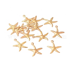 Железные подвески&nbsp;IFIN-I030-10G