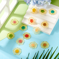 14шт 7 цвета подвески из полупрозрачной смолы&nbsp;RESI-TA0003-40