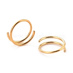 Двойное кольцо в носу для одиночного пирсинга&nbsp;LS-AJEW-C010-02G-02