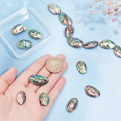 1 нить бусин из натуральной ракушки абалон/ракушки пауа BSHE-BC0001-16