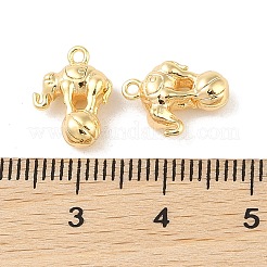 Латунь подвески&nbsp;KK-Q816-28G