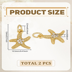 2 шт.&nbsp;ZIRC-LP0001-40