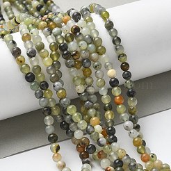 Новых природных нефрита нитей бисера&nbsp;X-G-F591-16-5MM