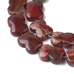 Натуральная красная радуга бусины из яшмы G-K359-D06-01