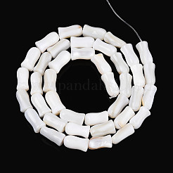 Нити бусин из натуральных пресноводных ракушек SHEL-N038-03