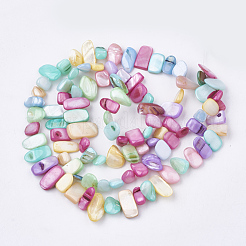 Нити бусин из пресноводных ракушек SHEL-S274-40L