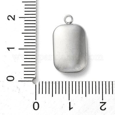 Подвески из акрила из нержавеющей стали 304 STAS-M091-02C-P-1