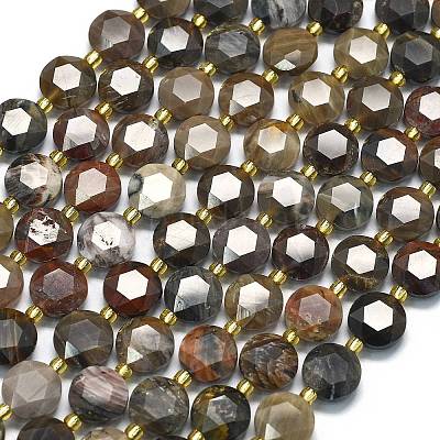 Природные окаменелое дерево бисер пряди G-C116-A135-01-1