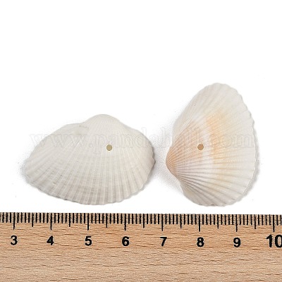 Бусины из натуральных ракушек SHEL-K009-15-1