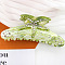 Starfish Cellulose Acetate Claw Hair Clips, Rhinestones Style Hair Accessories for Women & Girls, Yellow Green, 120x40x55mm