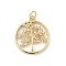 Brass Micro Pave Cubic Zirconia Pendants, Cadmium Free & Lead Free, Tree of Life, with Jump Ring, Real 16K Gold Plated, 21x18x2.5mm, Hole: 3mm