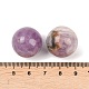 Бусины из натурального аметиста и кружевного агата&nbsp;G-K381-06A-3