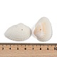 Бусины из натуральных ракушек SHEL-K009-15-3