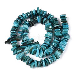 Нити бусин из натуральных пресноводных ракушек SHEL-T020-40D