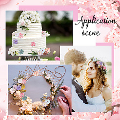 100 шт. 10-х цветные искусственные головки цветов из шелковой ткани DIY-CP0007-29