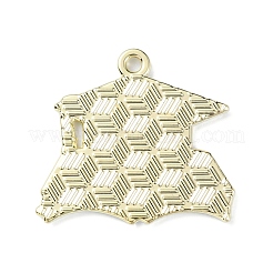 Подвески из сплава с эмалью на тему выпускного&nbsp;ENAM-G226-01D