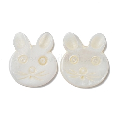 Бусины из натуральных пресноводных ракушек BSHE-P033-12