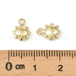 Латунь подвески&nbsp;LS-KK-C107-04B-G