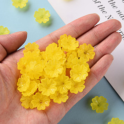 Прозрачные матовые шарики из акрилового шарика MACR-S371-04A-717