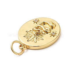 Подвески из латуни с покрытием из прозрачного кубического циркония&nbsp;KK-H431-48G