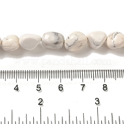 Природные Говлит бисер нитей G-B078-D15-01