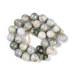 Натуральные бусины Jabe G-Q164-G04-01