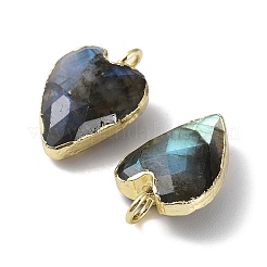Природные подвески лабрадорита&nbsp;G-G012-11G-06