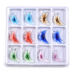 Ручной внутренний цветочные бусины луна подвески LAMP-R113-01-B