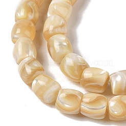 Нити бусин из натуральных трохоидных/трохус ракушек BSHE-H018-01