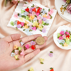 80 шт. 10-х цветные акриловые подвески с жемчугом PALLOY-FH00060