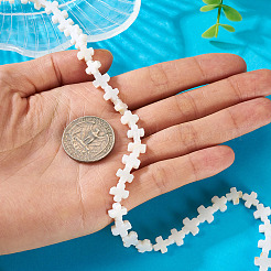 1 нить бусины из натуральных пресноводных ракушек SSHEL-TA0001-19