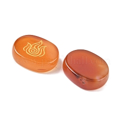 4 шт. 4 стиля натуральных украшений из сердолика&nbsp;G-F786-02B-02