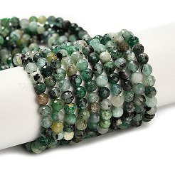 Натуральные изумрудные бисерные пряди G-Z106-A02-4mm