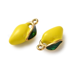 Подвески из нержавеющей стали 304 с эмалью&nbsp;STAS-B100-06G-06