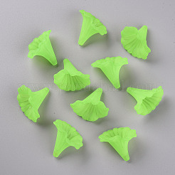 Прозрачные акриловые бусины&nbsp;BSF796-C18