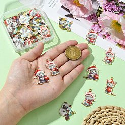 30 шт.&nbsp;FIND-CJ0002-62