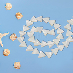 1 нить натуральных ракушечных бусин&nbsp;BSHE-BC0001-13