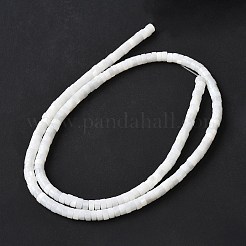 Нити бусин из натуральных пресноводных ракушек X-SSHEL-C013-04B