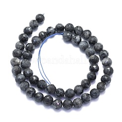 Натуральные нити бус из ларвикита G-K310-A17-8mm