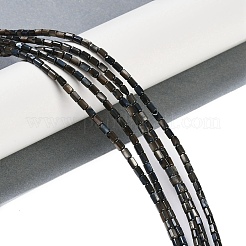 Нити бусин из натуральных пресноводных ракушек BSHE-H109-17E