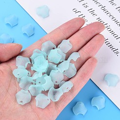 Прозрачные акриловые бусины&nbsp;MACR-S373-106-D04