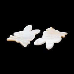 Природные подвески оболочки пресноводных BSHE-Z003-23