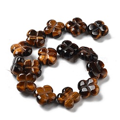 Природных тигровый глаз бисер нитей G-P520-A09-01