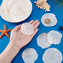 60 шт. натуральные бусины из ракушек капиз FIND-PH0026-67