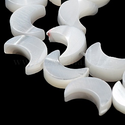 Нити бусин из натуральной ракушки трохус BSHE-P033-08