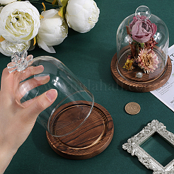 1 шт. стеклянный купол&nbsp;AJEW-SC0002-60A-02