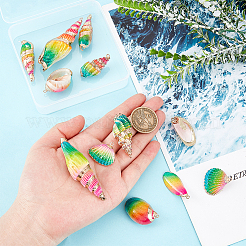 12 шт. 6 стиля гальванизированные натуральные смешанные ракушки большие подвески SSHEL-GA0001-06